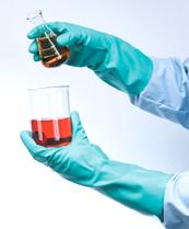 Marigold Green Nitrile G25G